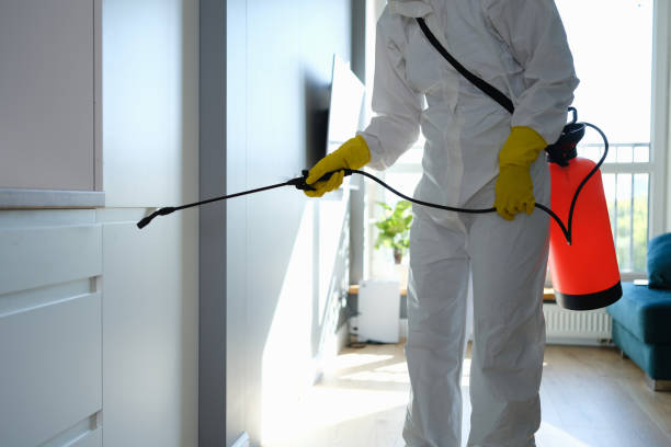 Best Mold Cleaning Services  in Mayfair, CA