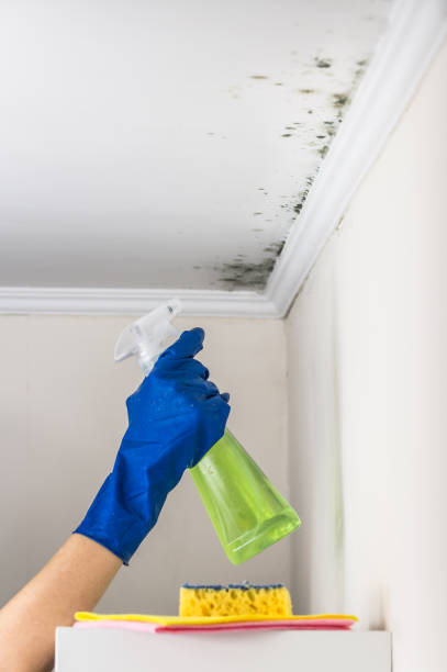Best Crawl Space Mold Removal  in Mayfair, CA